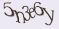 COM_smfaq1_FORM_CAPTCHA