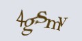 COM_smfaq1_FORM_CAPTCHA