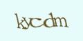 COM_smfaq1_FORM_CAPTCHA